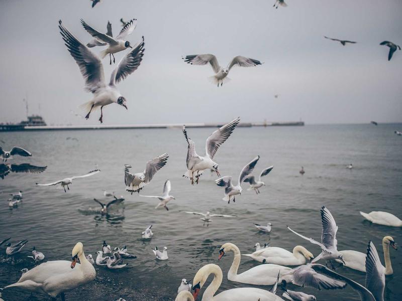 sudoku cross platform screenshot 3